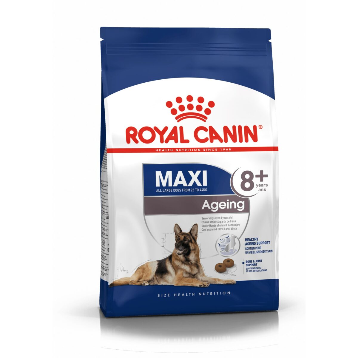 Royal Canin Maxi Ageing 8+ 15Kg wepet cão maxi senior