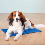 TAPETE REFRESCANTE AZUL WEPET TRIXIE