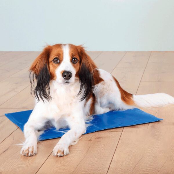 TAPETE REFRESCANTE AZUL WEPET TRIXIE