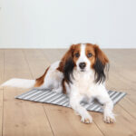 TAPETE DE ARREFECIMENTO TAPETE DE ARREFECIMENTO WEPET TRIXIE