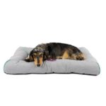 FRESH AIR PET CUSHION WEPET CÃO GATO