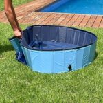 dog swimming pool wepet cão