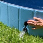 dog swimming pool wepet cão