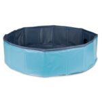 dog swimming pool wepet cão