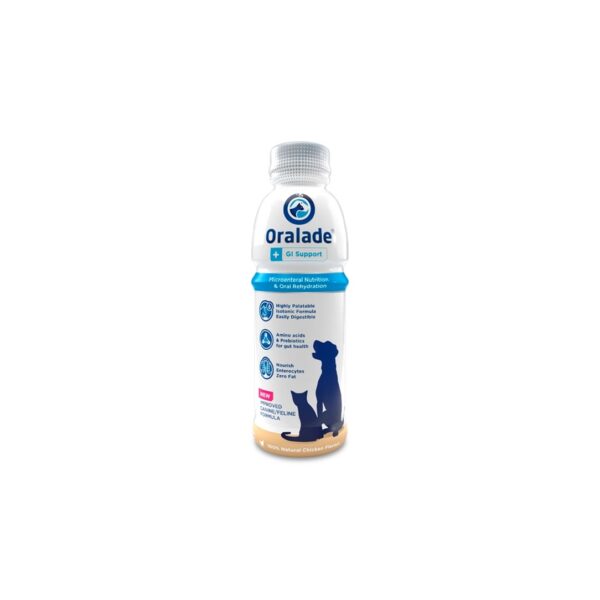 oralade 500ml cão gato wepet