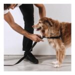 ZEE.DOG PUZZLE SOFT WALK HARNESS WEPET