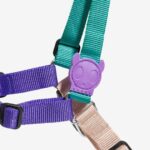 ZEE.DOG BOOGIE SOFT WALK HARNESS WEPET