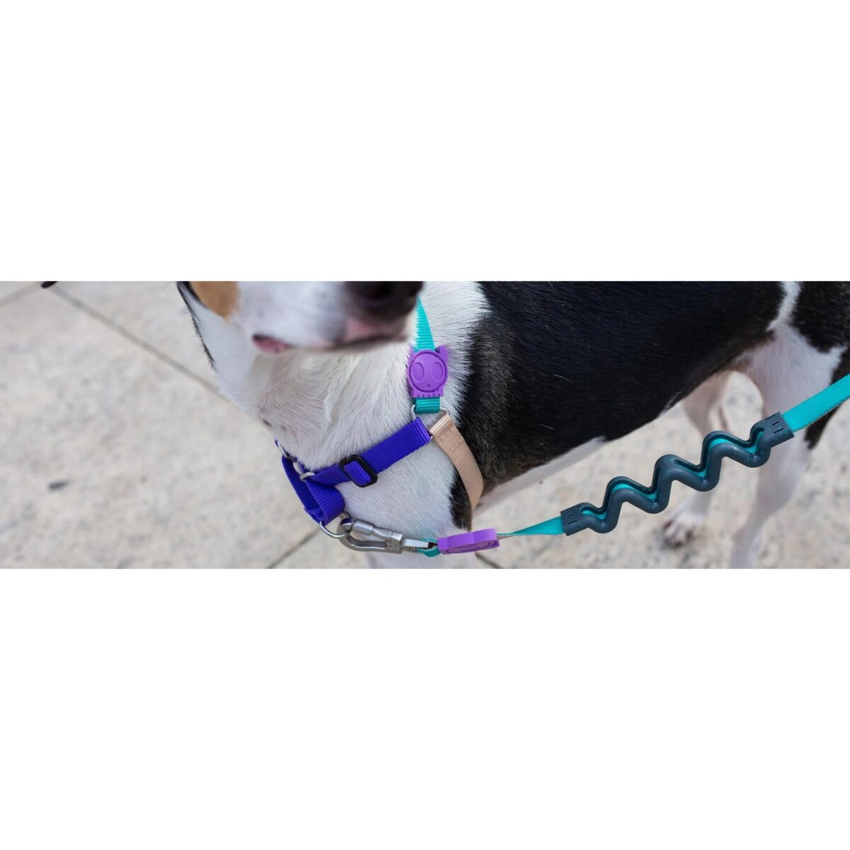 ZEE.DOG BOOGIE SOFT WALK HARNESS WEPET
