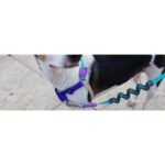 ZEE.DOG BOOGIE SOFT WALK HARNESS WEPET