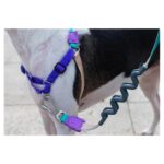 ZEE.DOG BOOGIE SOFT WALK HARNESS WEPET