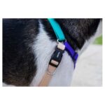 ZEE.DOG BOOGIE SOFT WALK HARNESS WEPET