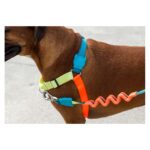 ZEE.DOG JUMPER SOFT WALK HARNESS WEPET