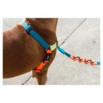 Este é um peitoral especial para cães! O arnês Soft Walk é um peitoral antipuxões que liga a trela à zona do peito do cão, e não às suas costas. Assim, quando o seu cão puxa, volta-se imediatamente para si, o que o desencoraja a puxar, tornando os passeios mais suaves. Tamanho: Regulagem do Tórax S 50cm a 77,5cm M 62,5cm a 98 m L 66,5cm a 105cm Regulagem do Peito S 31cm a 38,5cm M 33,5cm a 40cm L 36cm a 47cm Detalhes: Andar com o seu cão tornou-se muito mais fácil. A trela liga-se ao peito do cão e não às costas. Desencoraja os puxões do seu cão. Extra segura – Fivela construída com um sistema de fecho de 4 pontos e um anel de segurança adicional para que o seu cão esteja sempre seguro. O laço de martingale na cinta do peito impede a torção.