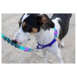ZEE.DOG BOOGIE SOFT WALK HARNESS WEPET