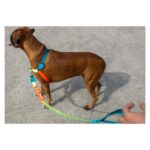 ZEE.DOG JUMPER SOFT WALK HARNESS WEPET