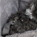 MOCHILA "MOLLY" 25x38x17 CM (CINZA) WEPET CÃO