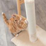 ARRANHADOR "BATRES" - 62 CM (BEGE) WEPET GATO