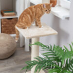 ARRANHADOR BAENA - 69 CM WEPET GATO