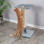 ARRANHADOR BAENA - 69 CM WEPET GATO