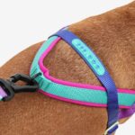 ZEE.DOG SHOCKWAVE SOFTER WALK HARNESS WEPET