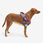 ZEE.DOG SHOCKWAVE SOFTER WALK HARNESS WEPET