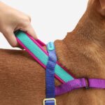 ZEE.DOG SHOCKWAVE SOFTER WALK HARNESS WEPET