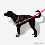 ZEE.DOG YUCCA SOFT WALK HARNESS WEPET