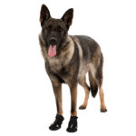 BOTA PROTECTORA "WALKER ACTIVE" P/ CAES WEPET TRIXIE