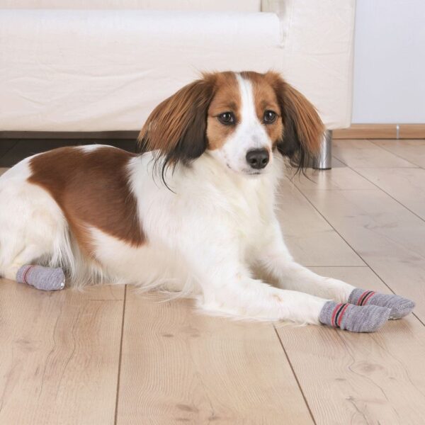 MEIAS P/ CAO WEPET TRIXIE