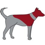 COLAR DE PROTECÇAO INSUFLAVEL P/ CAES WEPET TRIXIE