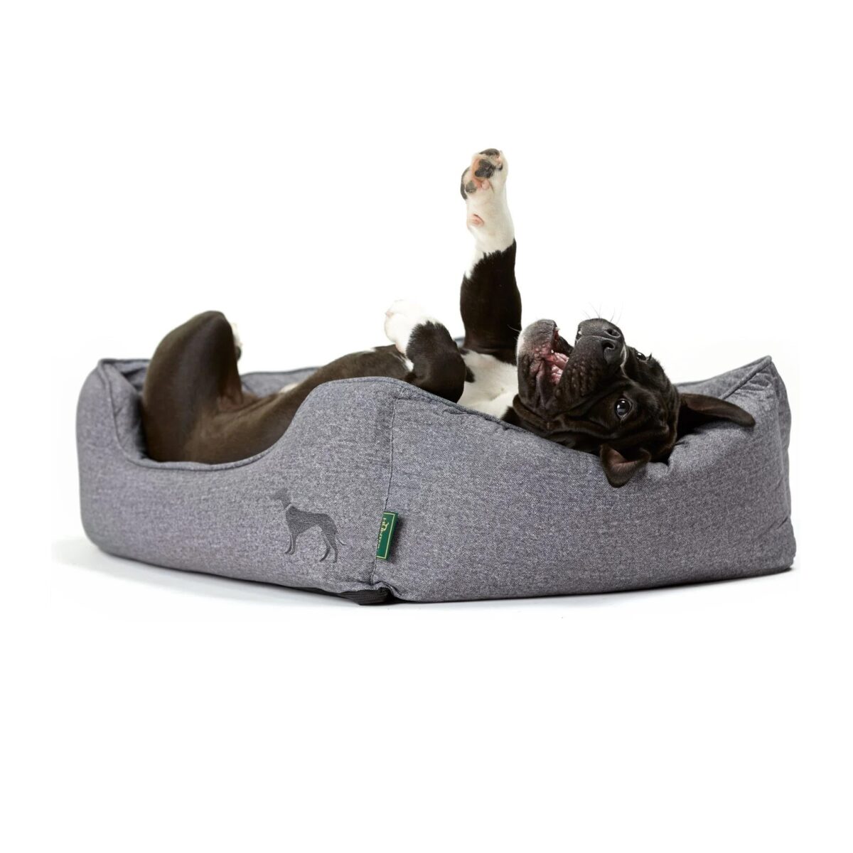 boston6 HUNTER SOFA BOSTON CINZA WEPET CÃO