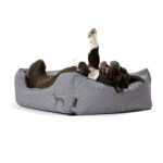 HUNTER SOFA BOSTON CINZA WEPET CÃO