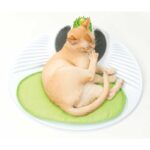 Catit Senses 2.0 Centro de Massagem wepet gato
