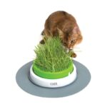 Catit Senses 2.0 Germinador Sin Hierba Gatera wepet gato