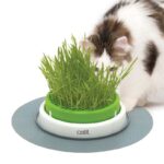 Catit Senses 2.0 Germinador Sin Hierba Gatera wepet gato