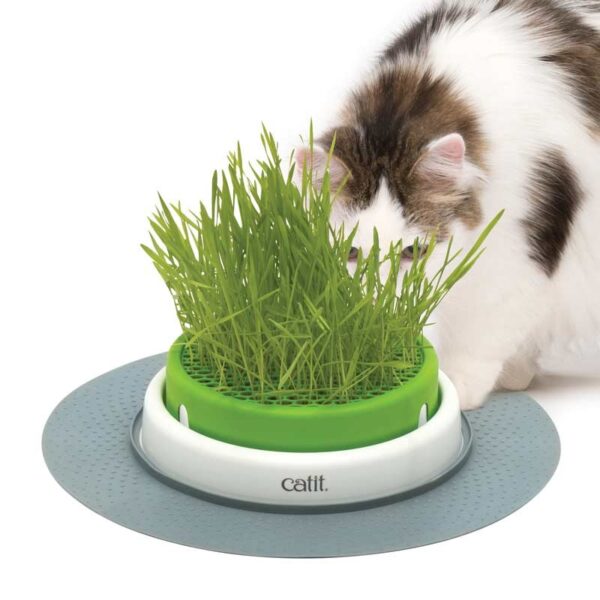 Catit Senses 2.0 Germinador Sin Hierba Gatera wepet gato