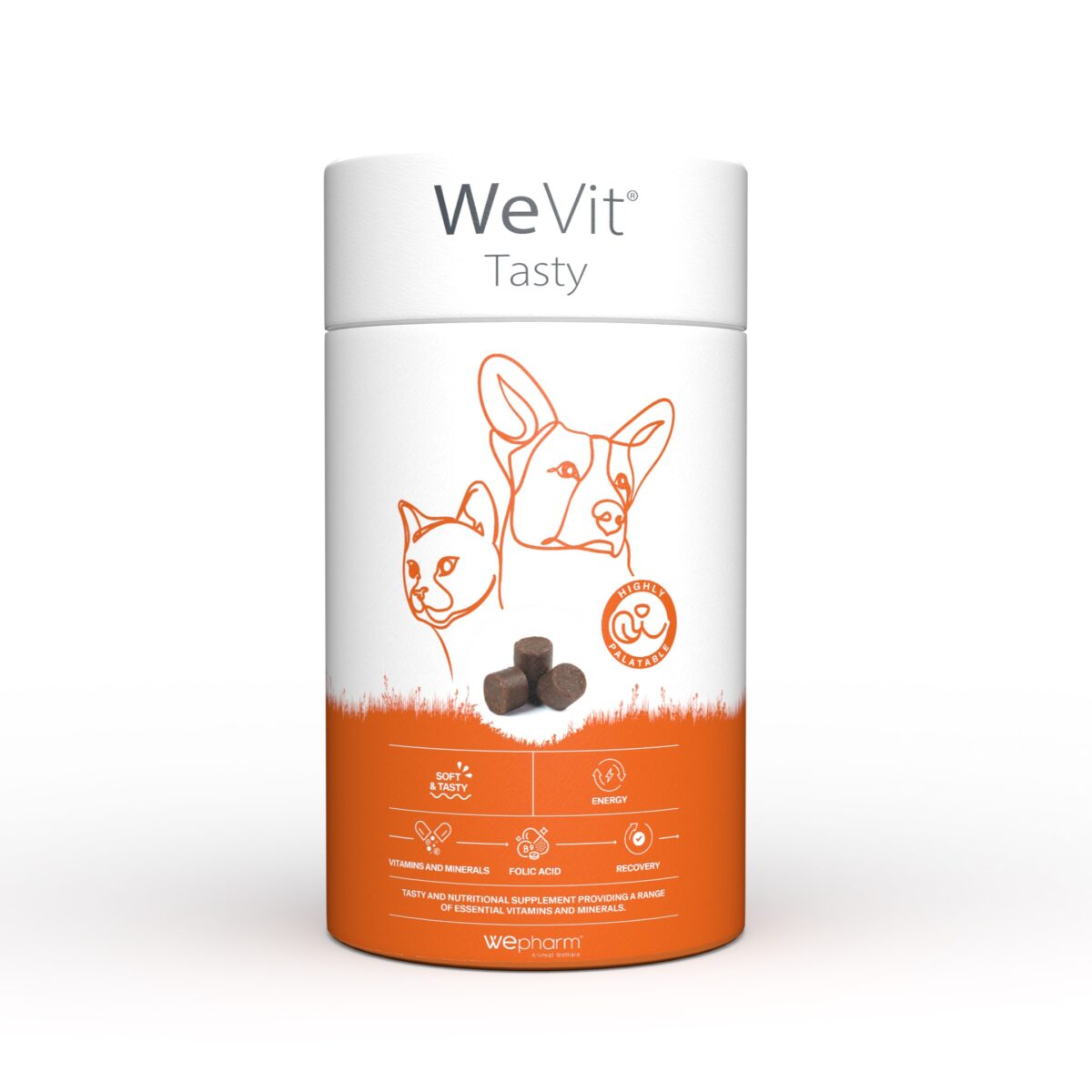 WEVIT_TASTY_frontal WeVit Tasty 30 chews - Image 3