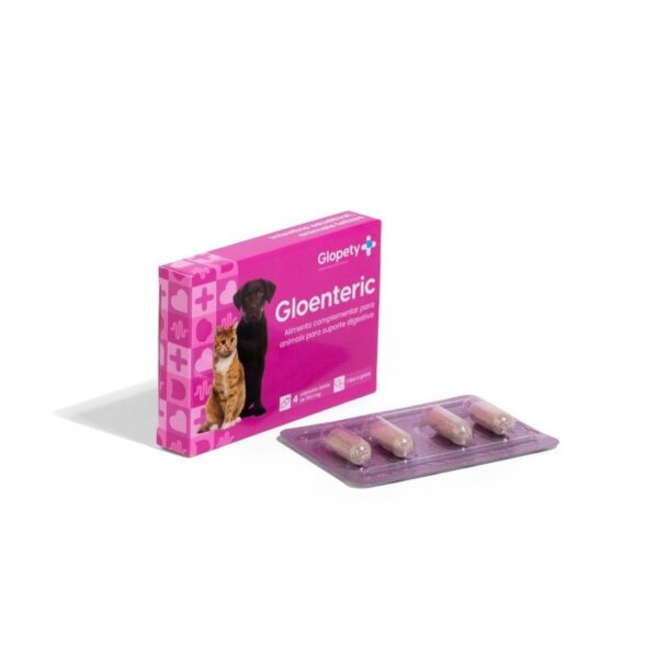 gloenteric 4 capsulas cão gato campifarma wepet
