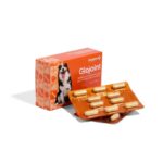 GLOJOINT 30CP CAMPIFARMA WEPET