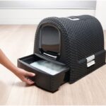 Curver Wc Gato Plástico Decor 51x38,5x39,5cm wepet