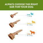 Whimzees Bag Occupy Antler - Image 3