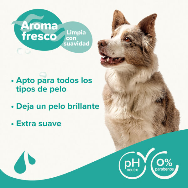 BEAPHAR CHAMPO UNIVERSAL wepet cão