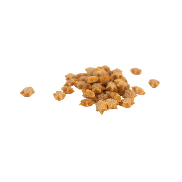 Weego Dog Snack Tender Apple 50gr wepet cão