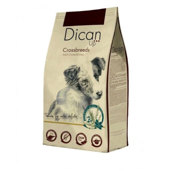 Dican Up CROSSBREEDS WEPET CÃO