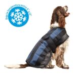 Colete Fresco Instantâneo