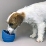 GARRAFA PORTATIL YOU&ME 850ML WEPET