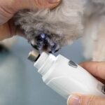 Lima de unhas elétrica com luz wepet cão gato