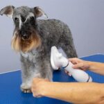 Escova Secadora Ulisses WEPET CÃO GATO