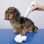 Escova Secadora Ulisses WEPET CÃO GATO