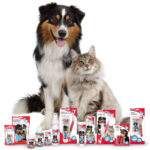 BEAPHAR GEL DENTAL 100 GR WEPET CÃO GATO